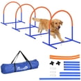 thumbnail image 1 of PawHut 4 PCS Dog Agility Training Equipment with Carrying Bag, Blue, 1 of 10
