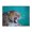 500 Pieces, variant on 500-Piece Wooden Jigsaw Puzzle for Adults - Roaring Leopard Portrait , Fun & Relaxing Family Game, No-Dust Interlocking Pieces, Perfect Wall Decor & Holiday Gift