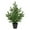 Green, variant on ToyKingdee Norfolk Island Pine Natural Look Artificial Tree in Decorative Planter