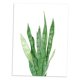 thumbnail image 4 of Acuare Hojas De Impresión De De Pintura Lona trifasciata-leaf M Gloria Pintura al óleo moderna de la lona, 4 of 7