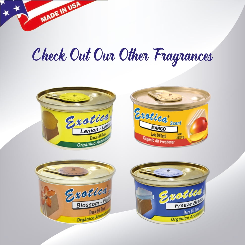 Exotica Car Air Freshener | Spill-proof Can | Organic | For Home & Auto | Long Lasting Freshness | (Pack of 12) (Leather)
