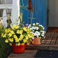 thumbnail image 2 of 4 Pcs Artificial Flowers Outdoor Impatiens Silk Impatiens Flowers 15.74" Yellow Faux Flowers Impatiens Bushes UV Resistant Artificial Impatiens for Pot Patio Lawn Garden Hanging Basket Porch Decor, 2 of 7