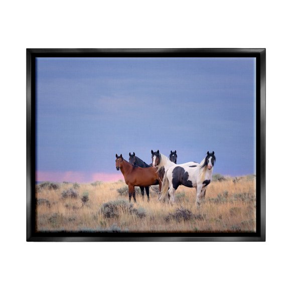 Stupell Industries Country Horses in Meadow Animals & Insects Photography Black Floater Framed Canvas Art Print Wall Art, 21 x 17