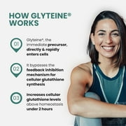 Continual-G Glutathione Precursor Powder Dietary Supplement Immune Support Master Antioxidant Detox 60 Drink Mix Sachets