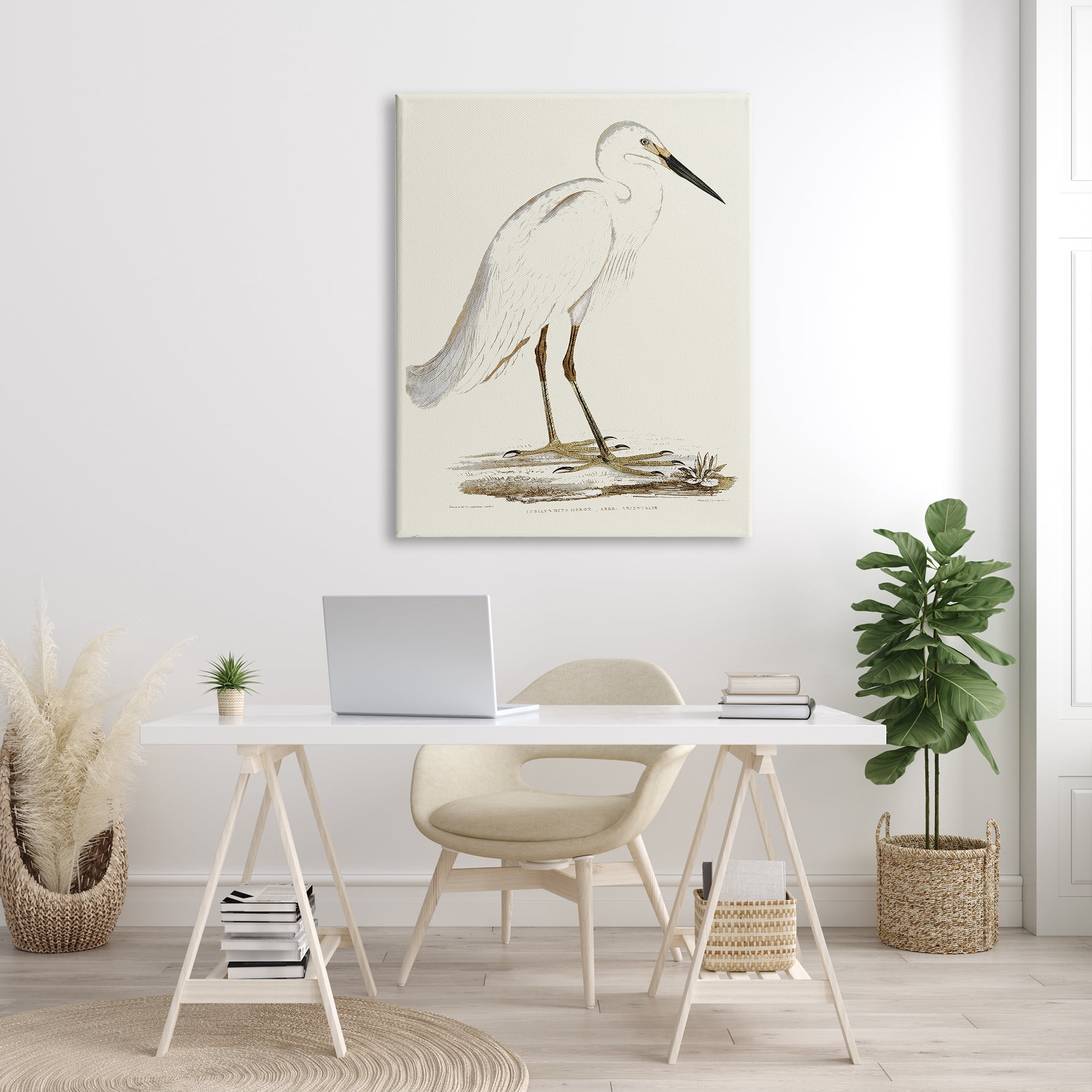 Stupell Industries Vintage Egret Latin Study Marsh Bird Illustration, 36 x 48, Designed by Daphne Polselli
