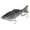A, variant on Robotic Fishing Lure, 3D Moving Fish Bait with Propeller Motion, Self Swimming Lure for Freshwater and Saltwater Fishing(B,10cm,1PCS)