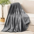 thumbnail image 5 of Cozy Microfiber Extra Soft Solid Color Throw Bed Blanket Throw - 50" x 60" - Grey, 5 of 5