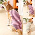 thumbnail image 2 of Pet Menstrual Pants Dog Diaper Belt Female Sanitary Panties Shorts Waterproof Breathable Halter Neck Design Untrained Puppies Heat Excitability Incontinence Absorbent Inner Pad Menstruation Towel, 2 of 7