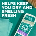 thumbnail image 3 of Tom's of Maine Natural Antiperspirant Deodorant for Women, Coconut Lavender, 2.25 oz., 3 of 12
