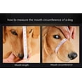 thumbnail image 6 of Dog Muzzle, Adjustable Pets Muzzle Mesh Breathable Nylon Soft Muzzle Anti-Biting Barking Mouth Cover for Small Medium Large Extra Dog, 6 of 6
