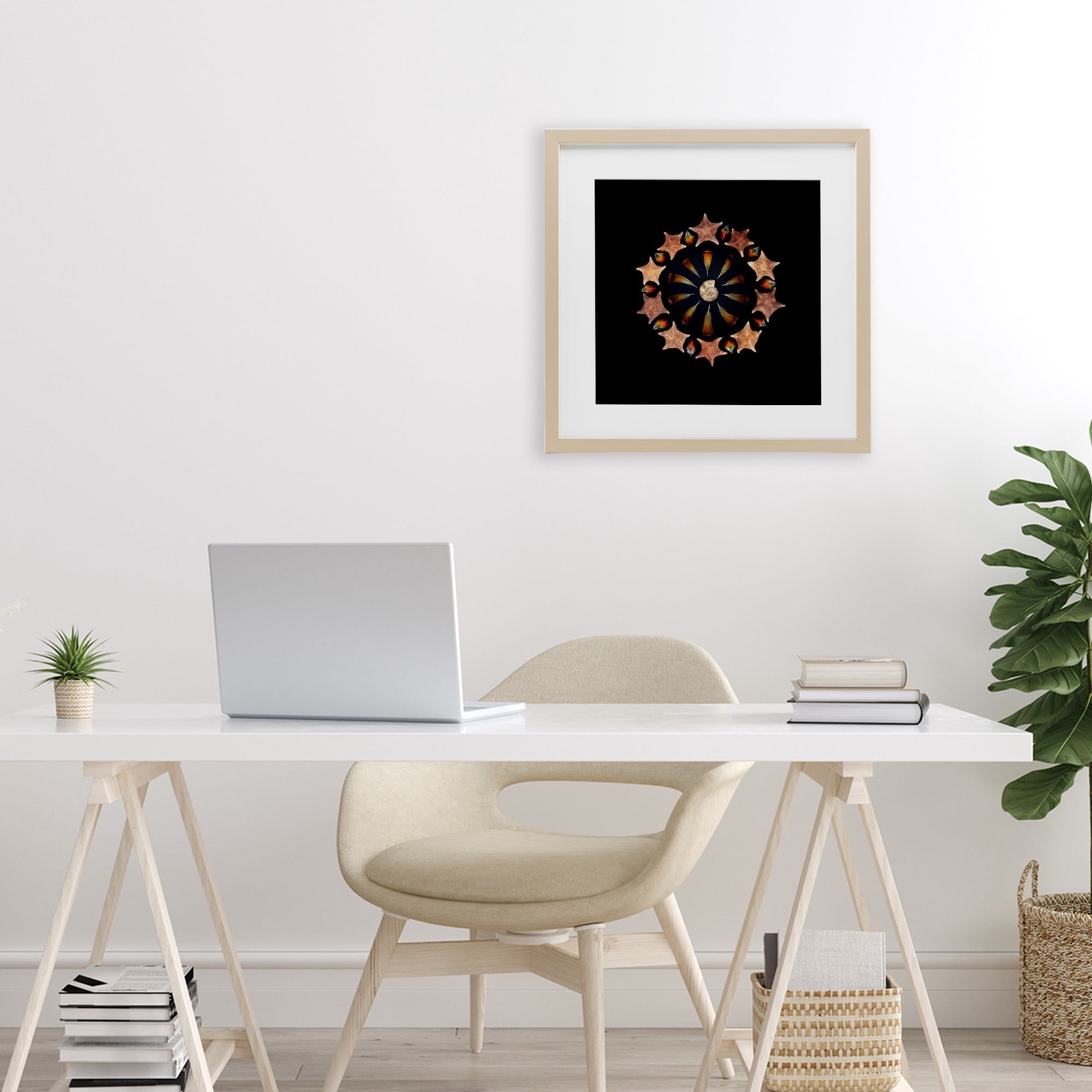 Stupell Industries Nautical Nature Arrangement Birch Framed Print Under Glass, design by Beth Adoette