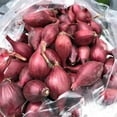 thumbnail image 4 of Set 50 Mix Onion Bulbs, Onion Bulb Mix, Suitable for Planting Outdoor Landscape, 4 of 6