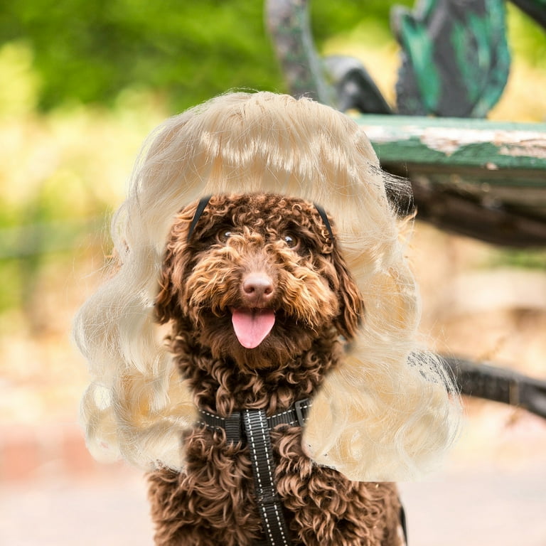 Toy Poodle Costumes Poodle Costumes Online