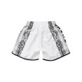 thumbnail image 4 of iixpin Kids Boys Muay Thai Shorts MMA Boxing Shorts Trunks Martial Arts Training Bottom Sport Shorts Type B 3-4, 4 of 7