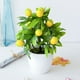 thumbnail image 2 of Planta artificial en maceta Yuarrent color multicolor, 2 of 6