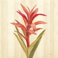 thumbnail image 2 of Vassileva, Silvia 26x26 Black Ornate Wood Framed with Double Matting Museum Art Print Titled - Tropical Garden III, 2 of 4