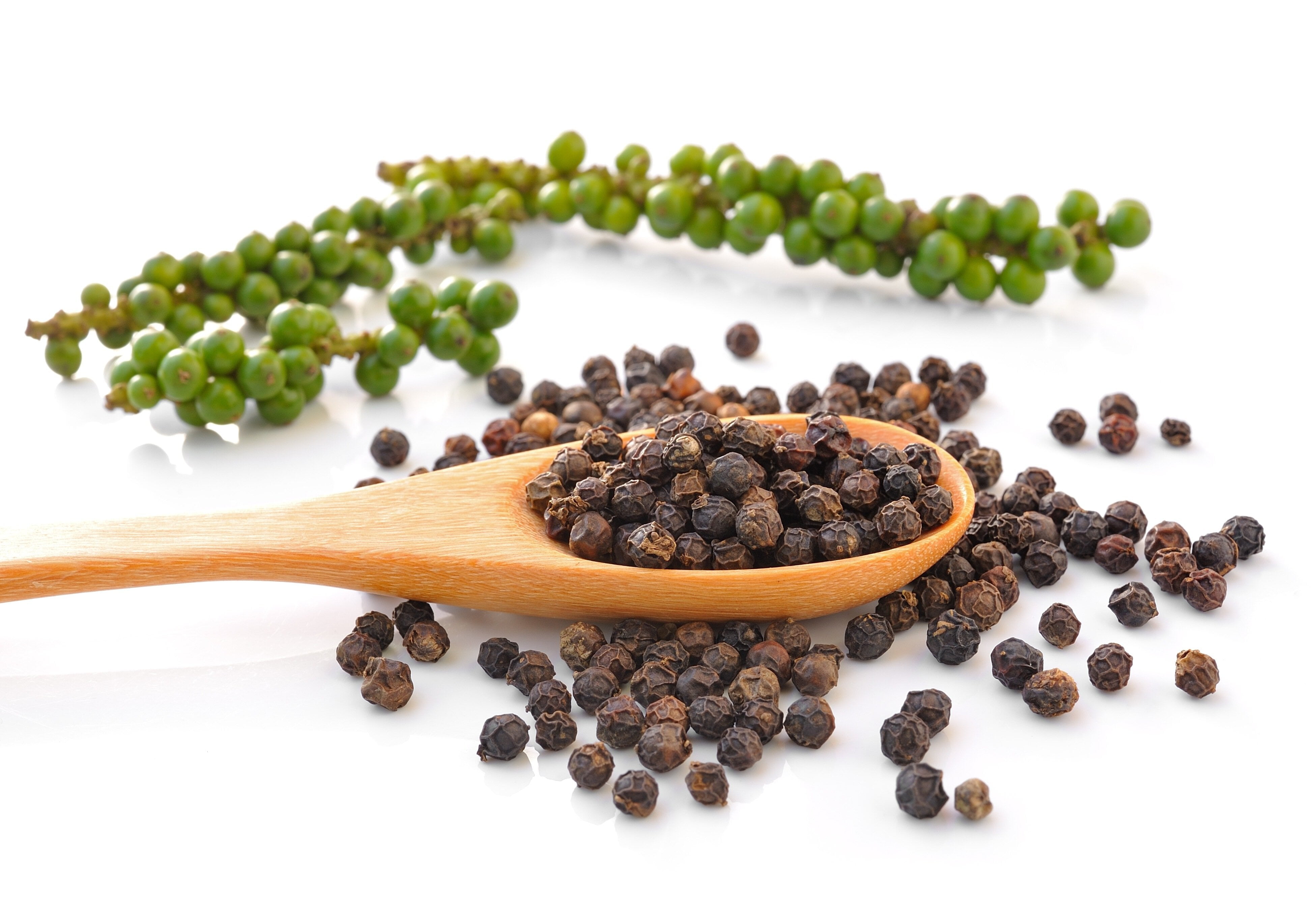 Piperine Extract Powder (Black Pepper Extract)