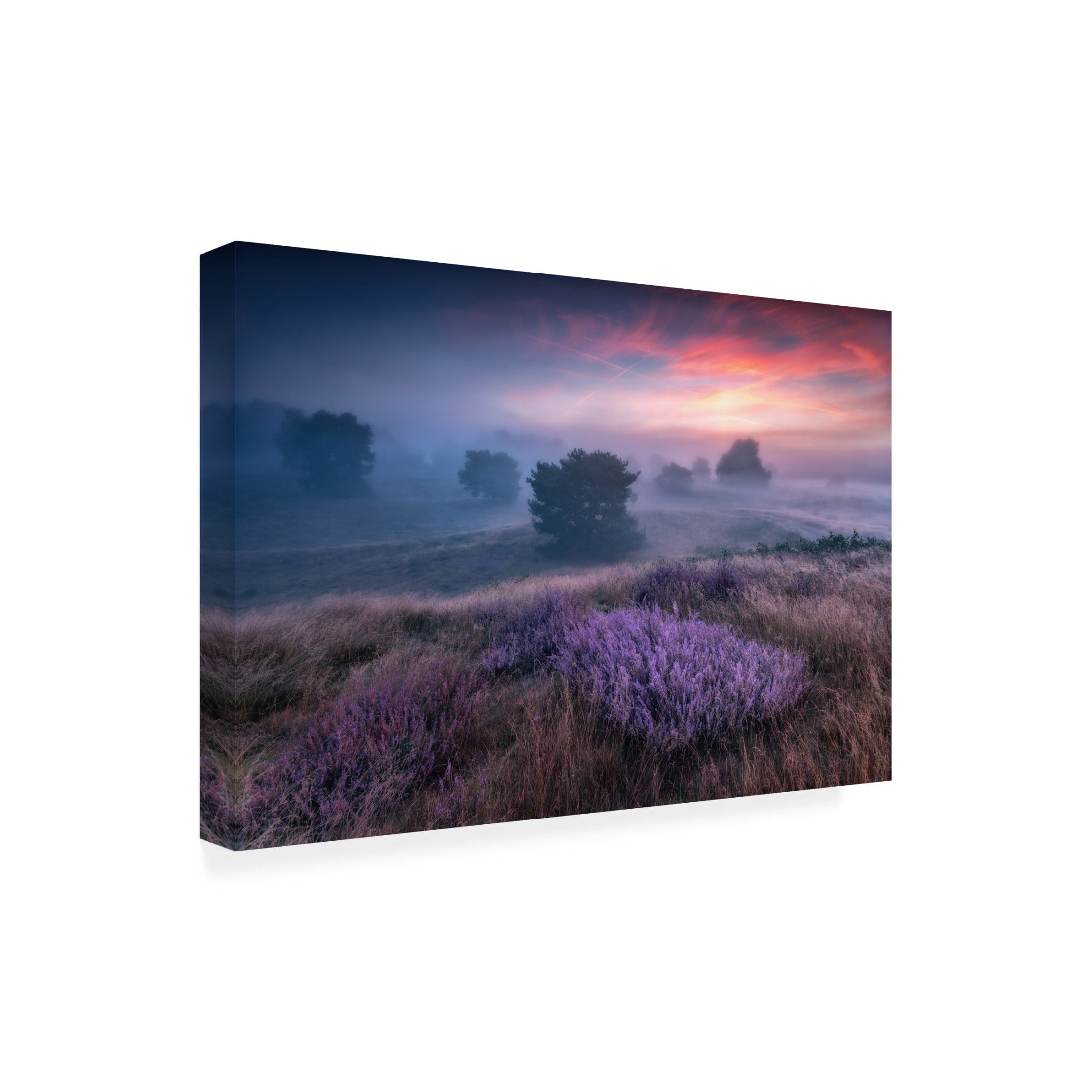 Canvas Wall Art - Adam Pachula 'Qthe Colors Of Heatherq' Wall Art for Living Room, Bedroom, or Office D?cor by Trademark Fine Art - 32 x 22 Inches