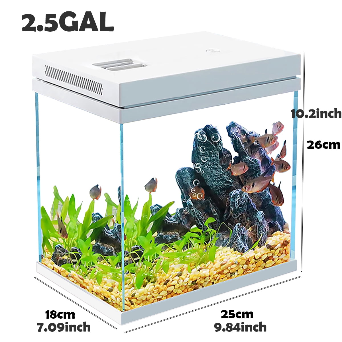 Fish Tank, 2.5 Gallon Nano-Aquarium, Upgrade Filter System and LED Light, for Freshwater & Marine, Filter Balls Included (2.5 Gal)