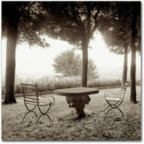 Trademark Fine Art "Fiesloe Giardini I" Canvas Art by Alan Blaustein