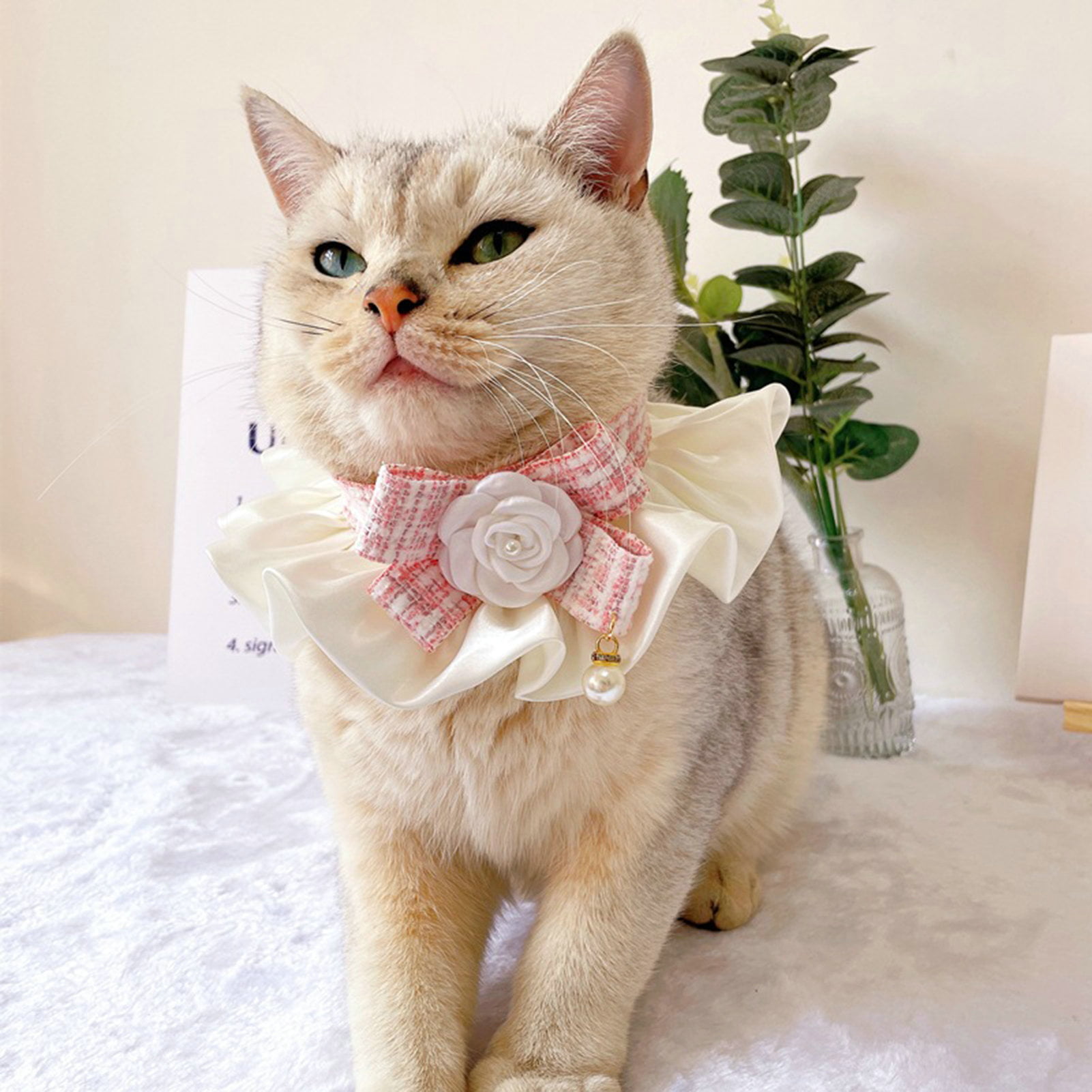 Yunnyp Pet Cat Lace Wedding Collar,Kitten Puppy Pearl Pendant Collar Choker  Necklace