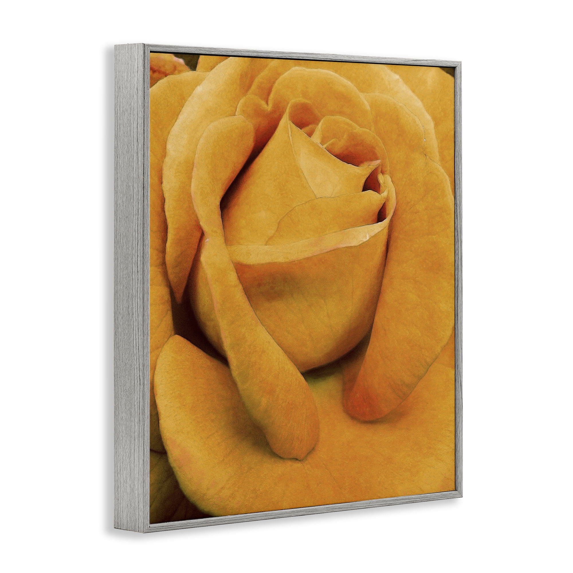 Stupell Industries Yellow Rose Close Up Botanical & Floral Painting Gray Framed Art Print Wall Art, 16 x 20