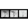 thumbnail image 2 of Butcher, Dave 14x7 White Modern Wood Framed Museum Art Print Titled - Lone Trees, 2 of 4
