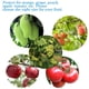 thumbnail image 4 of Bolsas de red de protección de frutas para árboles frutales, bolsas de barrera de malla de jardín para proteger plantas, bolsa de malla para cubrir frutas con cordón, 1,23 cp, 4 of 6