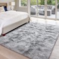 thumbnail image 3 of Soft Fluffy Area Rugs for Bedroom, 2 x 3 Feet Fluffy Shag Plush Shaggy Rug for Girls Kids Baby Teen Dorm Home Decor Aesthetic, Nursery for Living Room Christmas Decor (Light Gray), 3 of 7