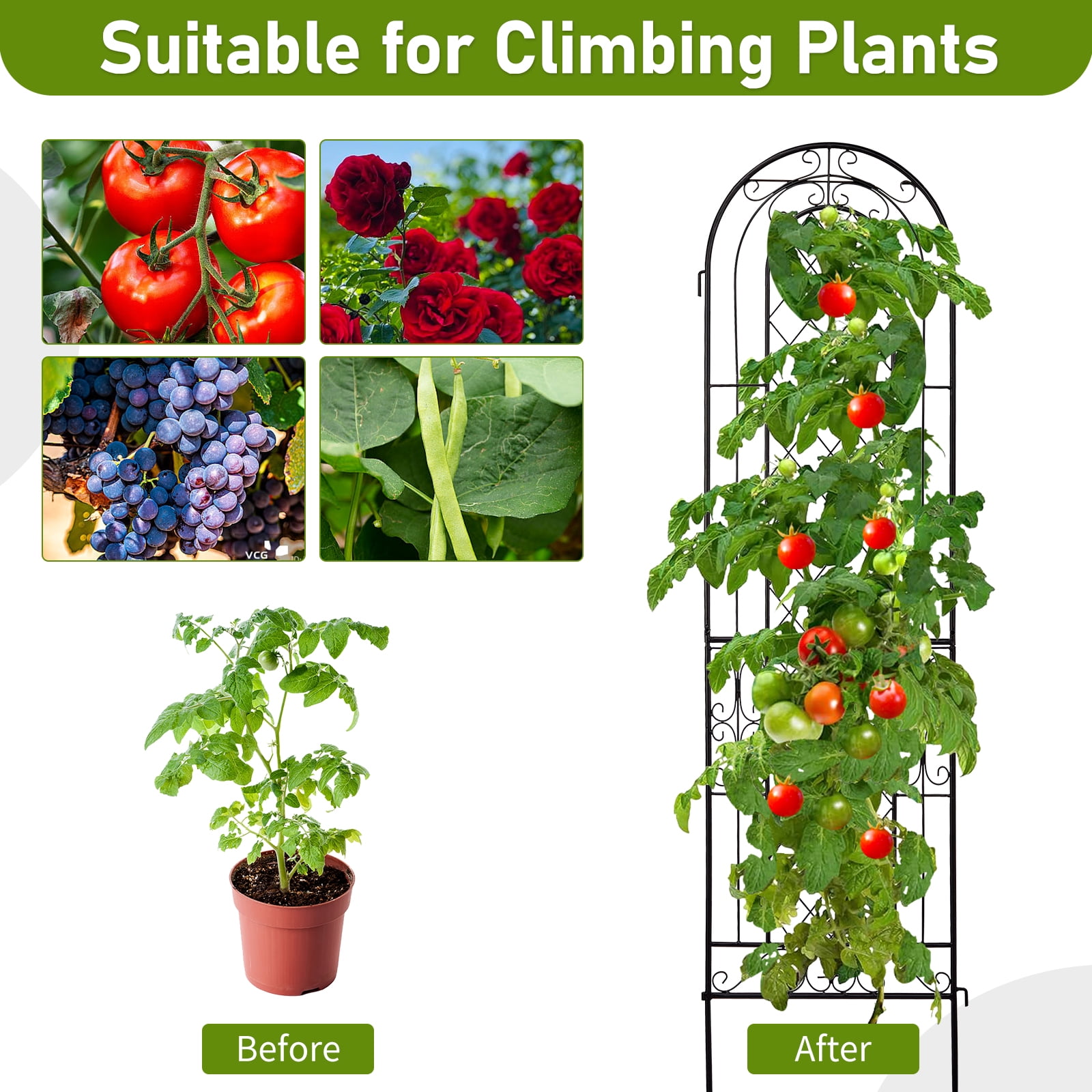 Xilee 2 Pack 16 x61 in Durable Garden Trellis for Climbing Plants,Wire Lattice Grid Panel for Climbing Plants Outdoor Roses Vine Cucumbers Vegetables Flower Support Black