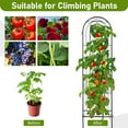 thumbnail image 5 of Ktaxon 2 Pack 61x16 Inch Garden Trellis, Rustproof Metal Climbing Plant Support for Roses & Vines, Outdoor, 5 of 9