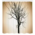 thumbnail image 3 of Ambesonne Lonely Tree Shower Curtain, Barren Tree on Ombre, 69"Wx84"L, Beige and Black, 3 of 3