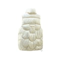 thumbnail image 4 of Txlixc Chaleco de mujer chaqueta de otoño chaqueta de cremallera de color sólido con bolsillo Txlixc  moda, 4 of 8