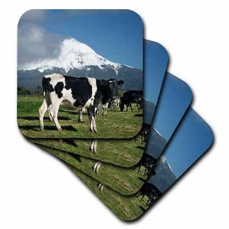 3dRose Dairy Cows, Farm animals, Taranaki, New Zealand-AU02 DWA4998 - David Wall, Soft Coasters, set of