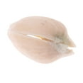 thumbnail image 4 of Tuercas de Pistacho CUTICAT a través de cristal trucos de magia Apoyos de trucos de magia, 4 of 5