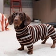thumbnail image 5 of UOSIA Dachshund Shirt Onesie Clothes Spring Thin Classic Stripes 4 Legs Jumpsuit Lightweight Pet T-Shirt Pajamas for Mini Dachshunds, 5 of 6