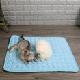 thumbnail image 6 of Dog Cooling Pad, Summer Pet Ice Mat Dog Mat Ice Silk Mat Cool Mat Pet Supplies, Summer Cooling Mat for Dogs Cats(E,Blue, 27.6x39.4in), 6 of 6