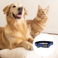 thumbnail image 3 of Dinheiro Collar para perro con clip y letras cortadas con forro de lona, 3 of 5