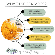 Sea Moss | Wildcrafted | Raw | Sundried | Mineral Rich | Makes 24 Ounces of Gel
