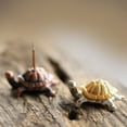 thumbnail image 3 of Flmtop Snail Turtle Incense Stick Holder Censer Stand Tea Culture Meditation Decor, 3 of 7