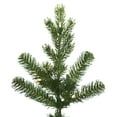 thumbnail image 2 of Vickerman 12' x 49" Eagle Fraser Slim Artificial Christmas Tree, Warm White Dura-lit LED Lights, 2 of 5