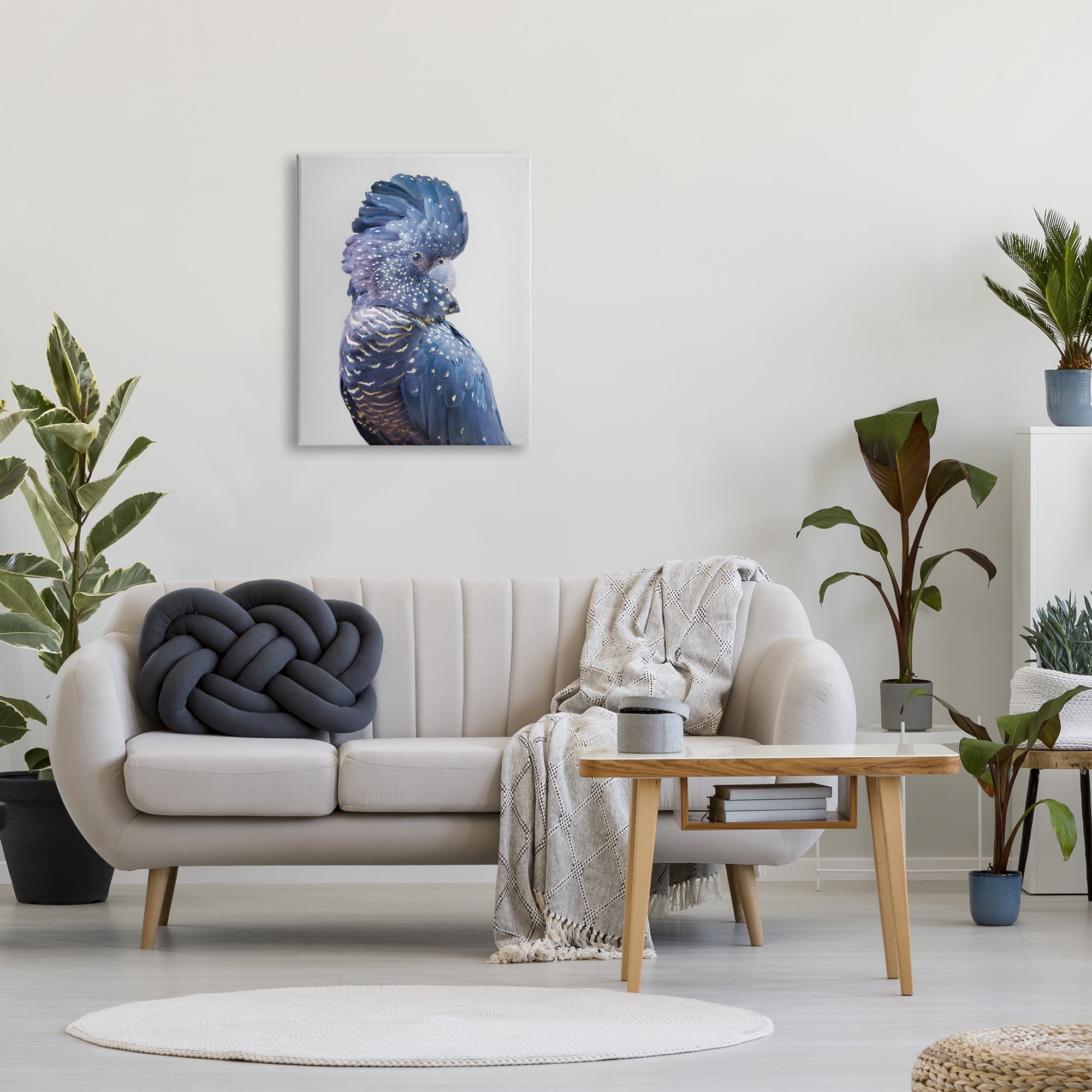 Stupell Industries Grey Cockatoo Portrait Animals & Insects Photography Gallery Wrapped Canvas Print Wall Art, 24 x 30