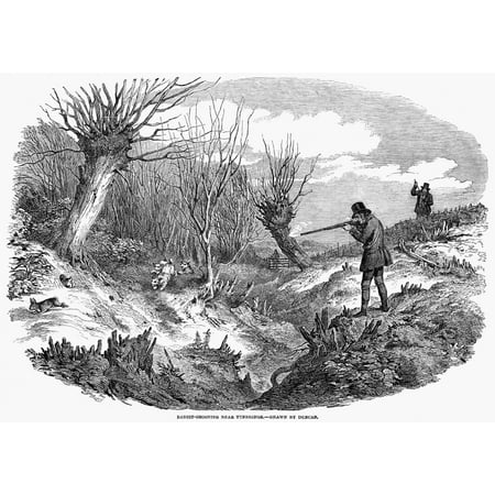 Rabbit Hunting 1850 NRabbit-Shooting Near Tunbridge Wood Engraving English 1850 Rolled Canvas Art - (24 x 36)