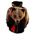 thumbnail image 3 of Sudadera con capucha con gráfico de panda salvaje divertido para hombres Ropa nueva en sudaderas y sudaderas para niños Lindos suéteres con estampado de panda gigante en 3D, 3 of 5