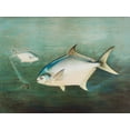 thumbnail image 2 of Kilbourne, Samuel 14x12 White Modern Wood Framed Museum Art Print Titled - Pompano, 2 of 4