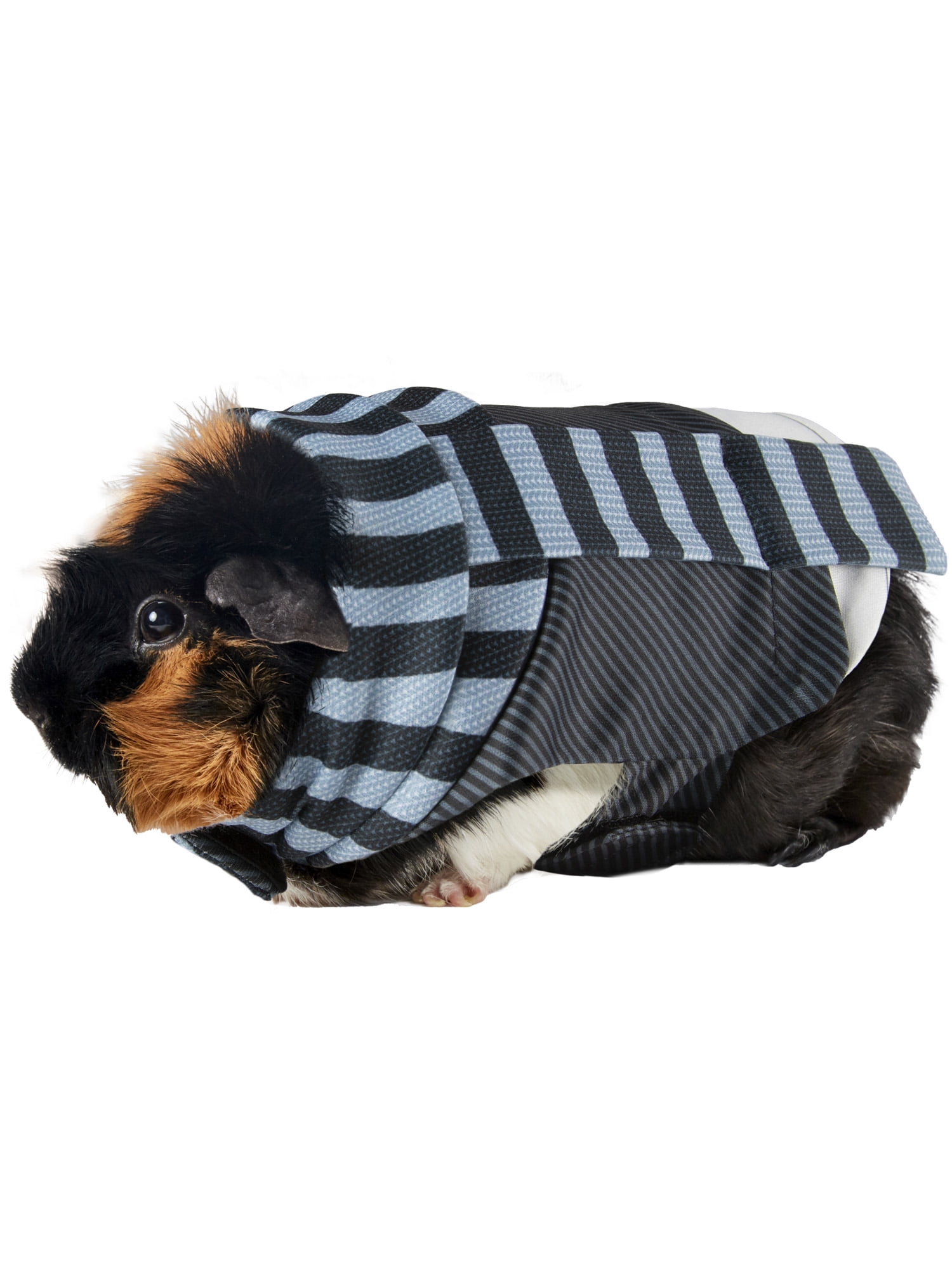 dog from despicable me costume