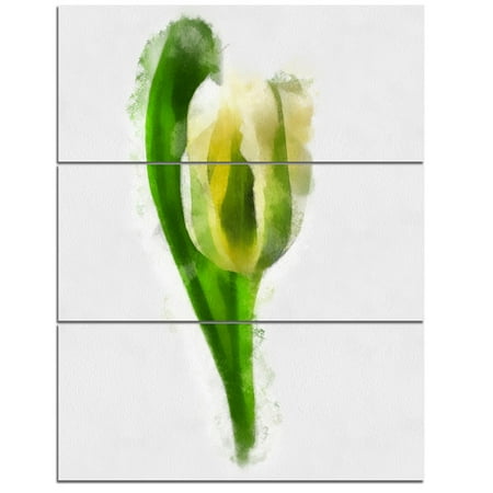 - Design Art 'White Tulip with Green Leaves' 3 Piece Painting Print on Wrapped Canvas Set
