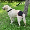 thumbnail image 6 of 2Pack Waterproof Reusable Female Dog Diapers, Washable Leak Proof Pet Diapers With Adjustable Fit for Large Dogs, Red + Blue, S, 6 of 10