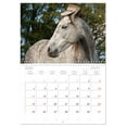 thumbnail image 5 of Funny white horse - a horse with a sense of humor (Monthly Wall Calendar 2026 16.5 x 23.4 (open)), CALVENDO 14 Month Calendar, 5 of 9