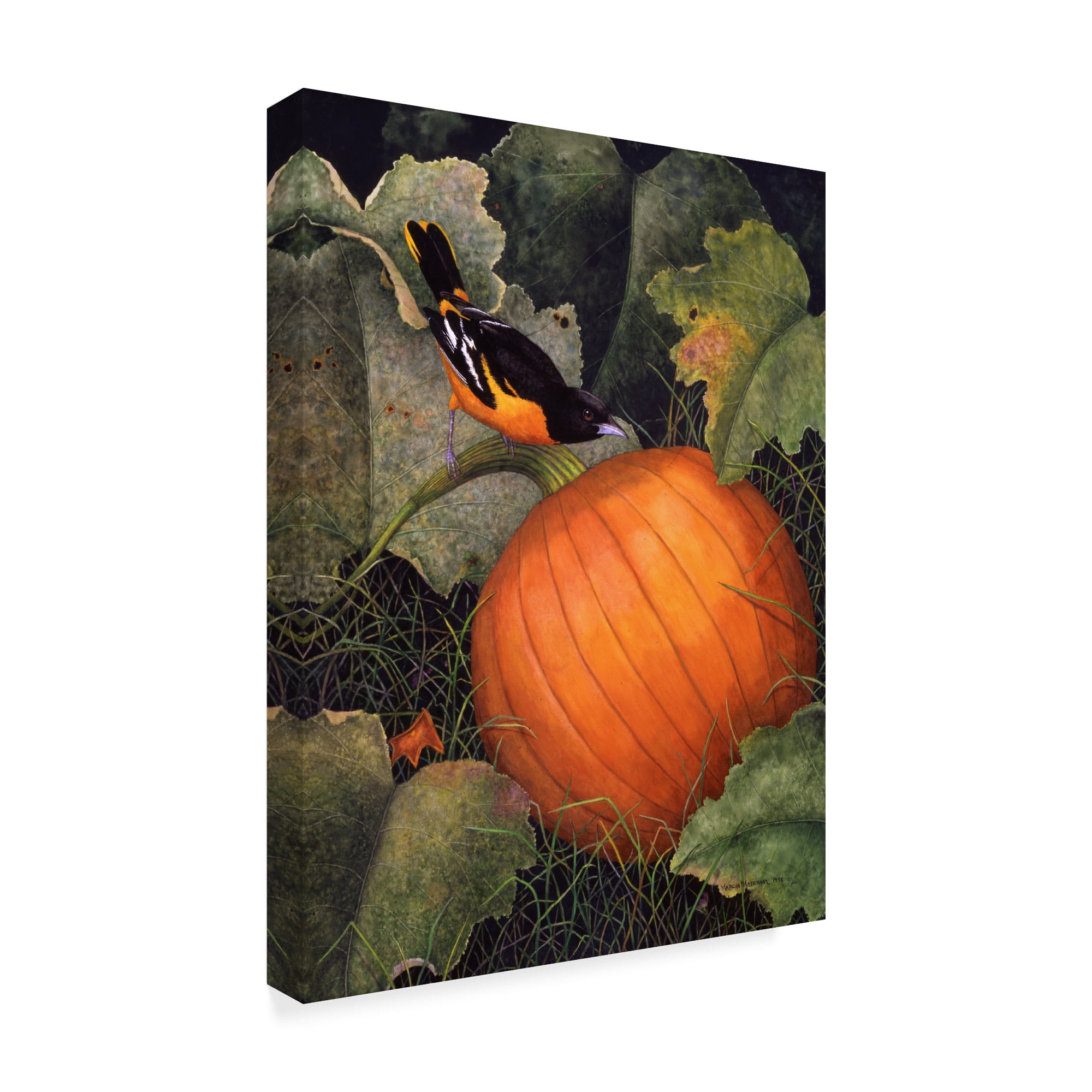 Oriole And Pumpkin' Canvas Art by Marcia Matcham
